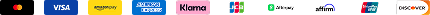 Payment Strip