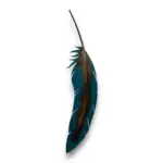 blue turquoise metal art feather