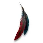 hand painted double metal art feathers