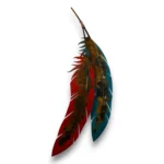 red and turquoise feathers