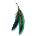 double hand painted feather