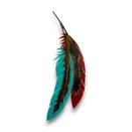 red and turquoise metal feathers
