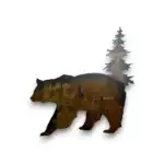 3D metal art with bear