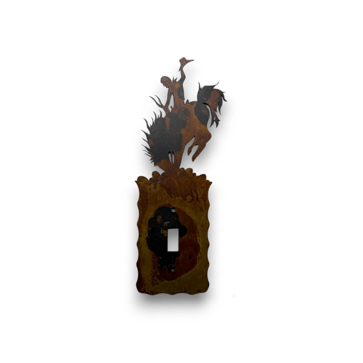 metal light switch with bronc