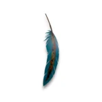 Hand-painted 48 inch blue turquoise metal feather wall art with rustic weathered finish and Southwestern decor style.